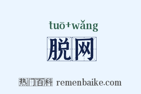 脱网是什么意思的图片
